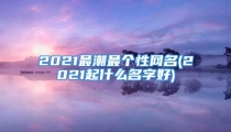 2021最潮最个性网名(2021起什么名字好)