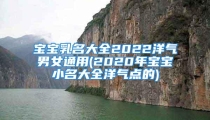 宝宝乳名大全2022洋气男女通用(2020年宝宝小名大全洋气点的)