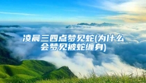 凌晨三四点梦见蛇(为什么会梦见被蛇缠身)
