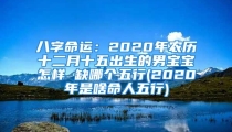八字命运：2020年农历十二月十五出生的男宝宝怎样 缺哪个五行(2020年是啥命人五行)