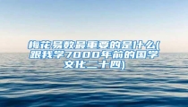 梅花易数最重要的是什么(跟我学7000年前的国学文化二十四)
