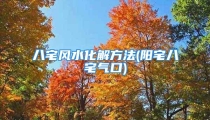 八宅风水化解方法(阳宅八宅气口)