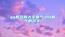 qq群名称大全霸气(QQ霸气的名字)