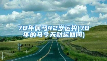 78年属马42岁运势(78年的马今天财运如何)