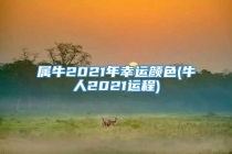 属牛2021年幸运颜色(牛人2021运程)