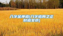 八字金神格(八字格局之正财格女命)