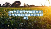 84年的鼠今年婚姻如何(今年投资容易破财的生肖鼠)