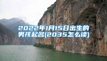 2022年1月15日出生的男孩起名(2035怎么读)