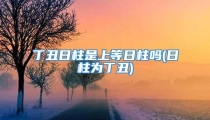 丁丑日柱是上等日柱吗(日柱为丁丑)