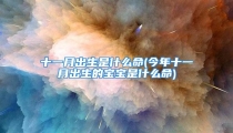 十一月出生是什么命(今年十一月出生的宝宝是什么命)