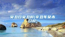癸丑日癸丑时(辛丑年癸未日柱)