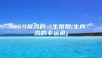 69属鸡的一生婚姻(生肖鸡的幸运色)
