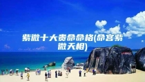 紫微十大贵命命格(命宫紫微天相)
