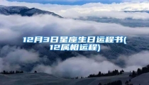 12月3日星座生日运程书(12属相运程)