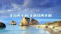 壬日丙午时(壬辰日丙午时)