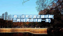 三两三钱男命最正确详解(三两1钱男命详解一生)