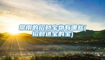常用的招财宝物有哪些(招财进宝的宝)