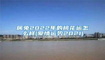属兔2022年的桃花运怎么样(爱情运势2021)