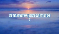 官星喜用神(偏官是官星吗)