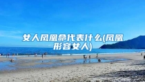 女人凤凰命代表什么(凤凰形容女人)