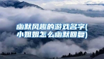 幽默风趣的游戏名字(小姐姐怎么幽默回复)