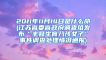 2011年11月14日是什么命(江苏省委省政府调查组发布“丰县生育八孩女子”事件调查处理情况通报)