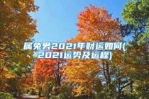 属兔男2021年财运如何(2021运势及运程)