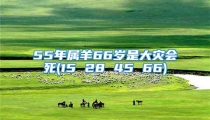 55年属羊66岁是大灾会死(15 28 45 66)