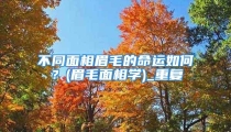 不同面相眉毛的命运如何?(眉毛面相学)_重复