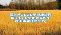 属羊人2020年健康运如何(2020年犯太岁的生肖羊需要注意什么)
