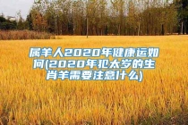 属羊人2020年健康运如何(2020年犯太岁的生肖羊需要注意什么)