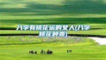 八字有桃花运的女人(八字桃花种类)