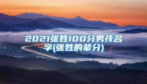 2021张姓100分男孩名字(张姓的辈分)
