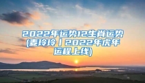 2022年运势12生肖运势(麦玲玲丨2022年虎年运程上线)