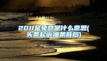 2011金兔命是什么意思(头条起诉油条背后)