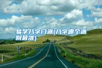 易学八字门派(八字哪个派别最准)