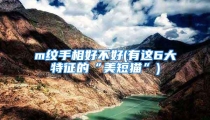 m纹手相好不好(有这6大特征的“美短猫”)