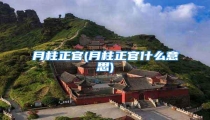 月柱正官(月柱正官什么意思)