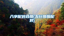 八字配对合婚(五行婚姻配对)