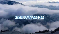 怎么算八字合不合