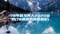 78年属马男人2020运势(78属啥的属相最配)