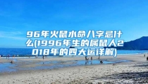 96年火鼠水命八字忌什么(1996年生的属鼠人2018年的四大运详解)