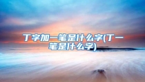 丁字加一笔是什么字(丁一笔是什么字)