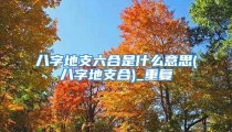 八字地支六合是什么意思(八字地支合)_重复