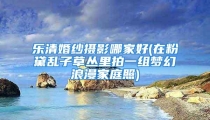 乐清婚纱摄影哪家好(在粉黛乱子草丛里拍一组梦幻浪漫家庭照)