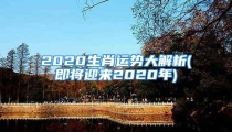 2020生肖运势大解析(即将迎来2020年)