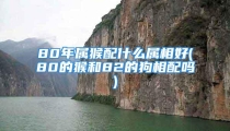 80年属猴配什么属相好(80的猴和82的狗相配吗)