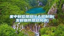 家中财位摆放什么招财物(发财物件摆放风水)