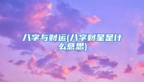 八字与财运(八字财星是什么意思)