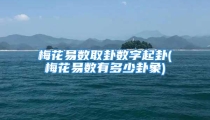 梅花易数取卦数字起卦(梅花易数有多少卦象)